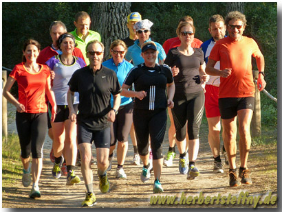 Herrliche Laufstrecken im Pinienwald