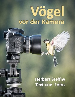 Vgel vor der Kamera Vogel Fotografie